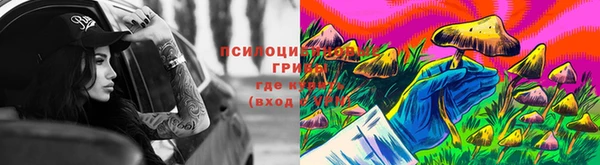 ПСИЛОЦИБИНОВЫЕ ГРИБЫ Богородск