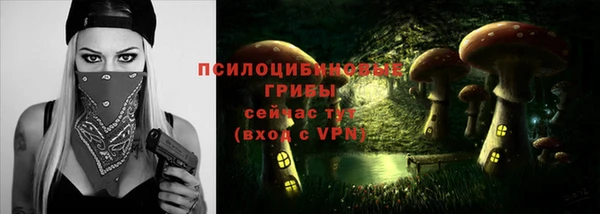 кристаллы Богородицк